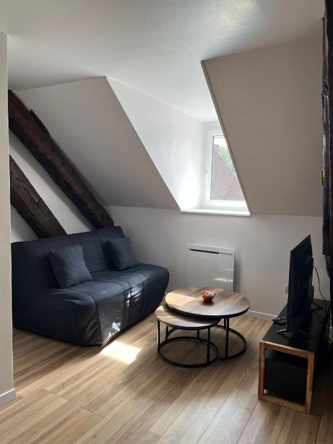Appartement De La Fontaine A La Tour Du Pin Hyper Centre Parking Prive Zewnętrze zdjęcie